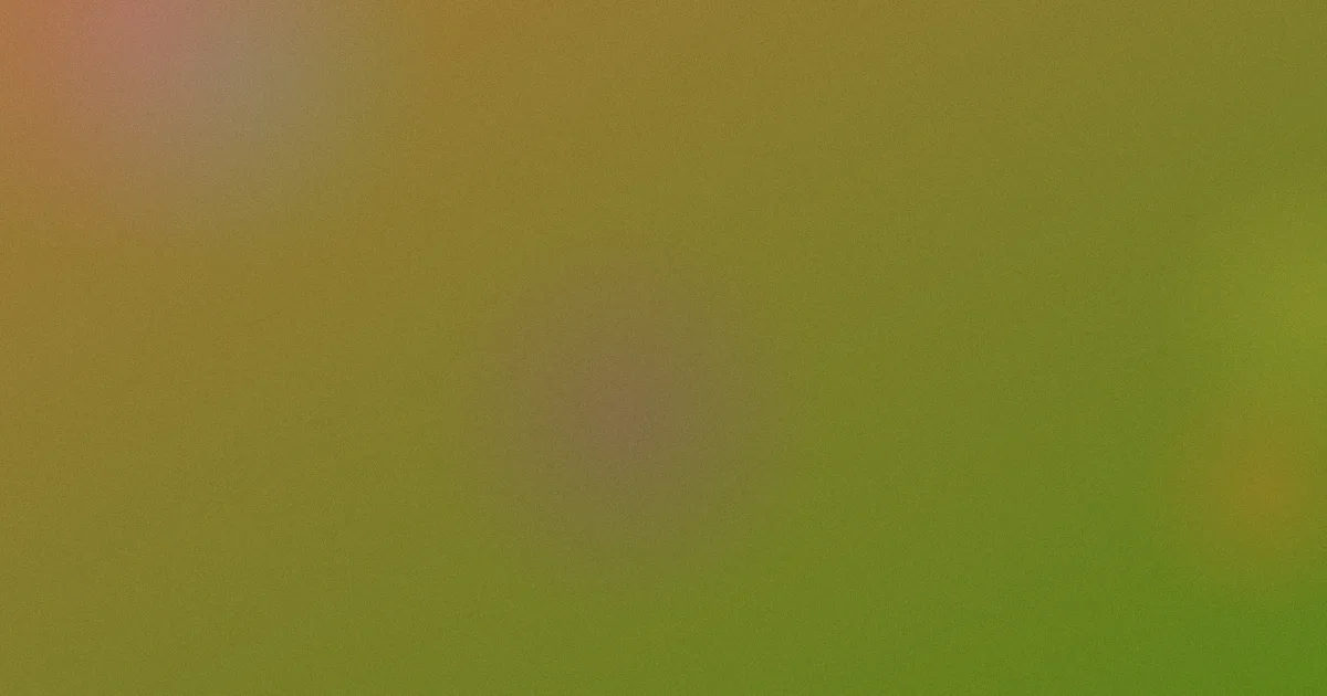 欧美女同性恋避坑深度解析